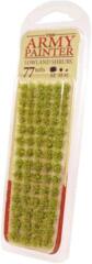 Lowland Shrubs Tuft