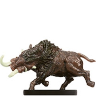 boar