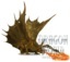 Adult Gold Dragon - Painted -D&D Icons