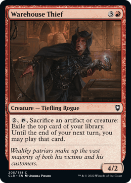 Warehouse Thief (CLB)