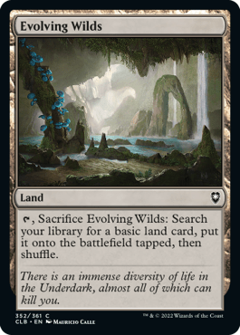Evolving Wilds (CLB)