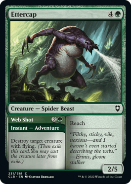 Ettercap // Web Shot (CLB)