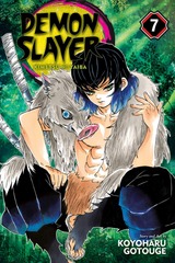 Demon Slayer Vol. 7