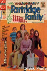 Partridge Family #18