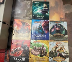 Lot Guide du Joueur Magic the Gathering
