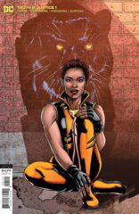 Truth & Justice #1 Cover B Variant