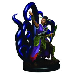 D&D Premium Painted Miniature: Female Human Warlock