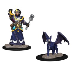 Wardlings: Girl Cleric and Winged Cat
