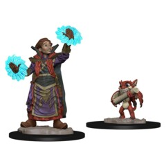 Wardlings: Boy Wizard and Imp