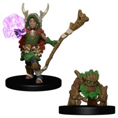 Wardlings: Boy Druid and Tree Creature