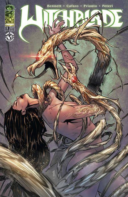 Witchblade Vol 3 #2 Cover A