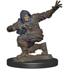 Pathfinder Battles Premium Painted Figure: Male Human Rogue