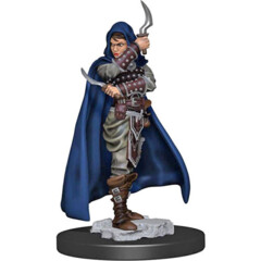Pathfinder Battles Premium Painted Figure: Female Human Rogue