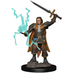 Pathfinder Battles Premium Miniatures: Male Human Cleric