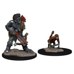 Wardlings: Boy Rogue and Monkey