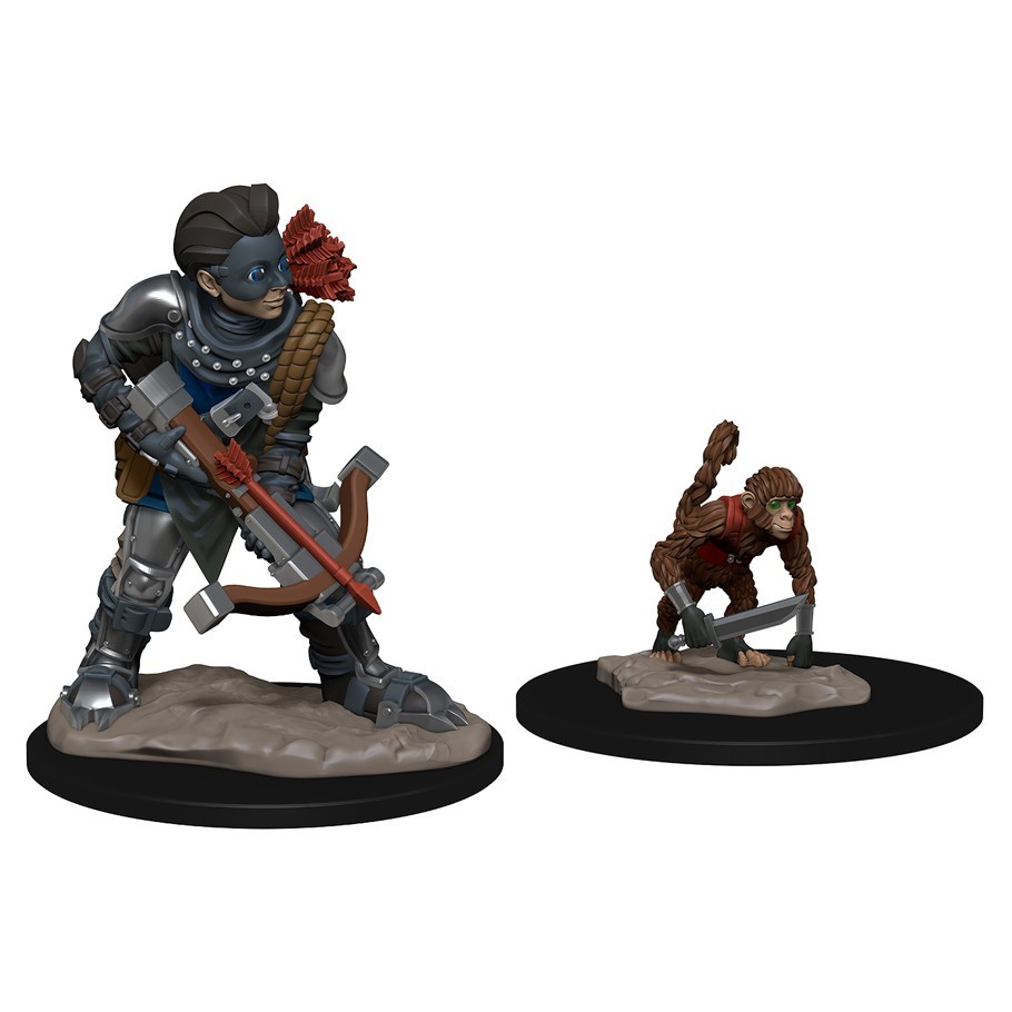 Wardlings: Boy Rogue and Monkey