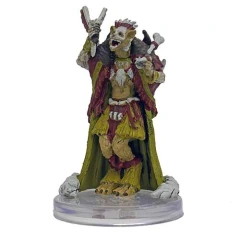 Witch Gnoll Bonekeeper - 23/42