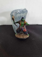 Wardlings - Orc Druid