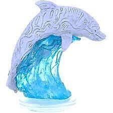 Dolphin Delighter 21/50