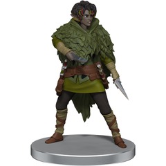 Iriad of the Kagonesti 1/6