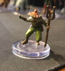 Tiem Tremble (Halfling Druid)