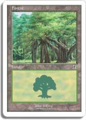 Forest - E [P3K, Large Tree at Right]