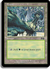 Forest (350)