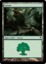 Forest - A (247)