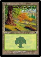 Forest (349)