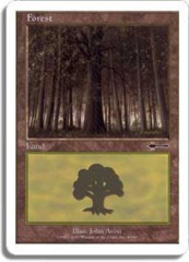 Forest - (89)