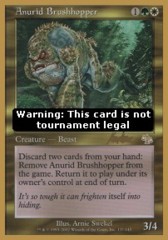 Anurid Brushhopper