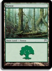 Forest (303)