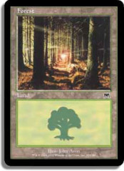 Forest (349)