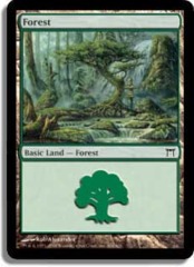 Forest (304)