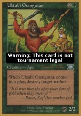Uktabi Orangutan