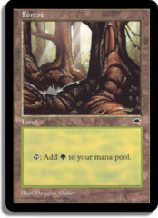 Forest (C) [Giant Roots]