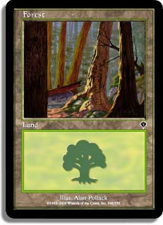 Forest (348)