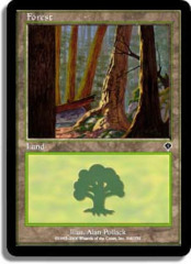 Forest (348)
