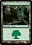 Forest - A (247)
