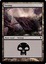 Swamp - A (241)