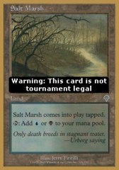 Salt Marsh