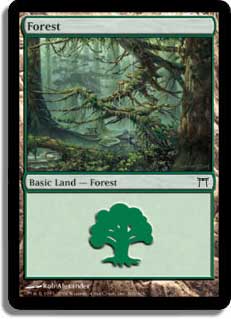 Forest (306)