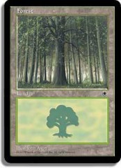 Forest (B) [Large Tree Center]