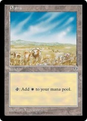 Plains (B) [Two Bovine]