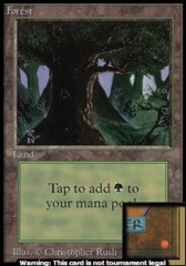 Forest - C [Animal in Tree]