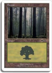 Forest - (90)