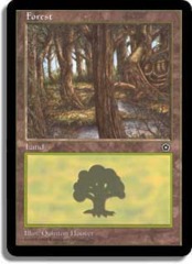 Forest (C) [Stream]