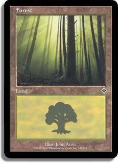 Forest (347)