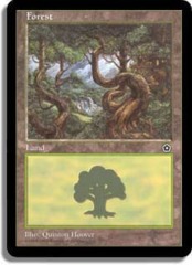 Forest (A) [House on Right]