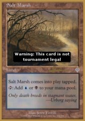 Salt Marsh